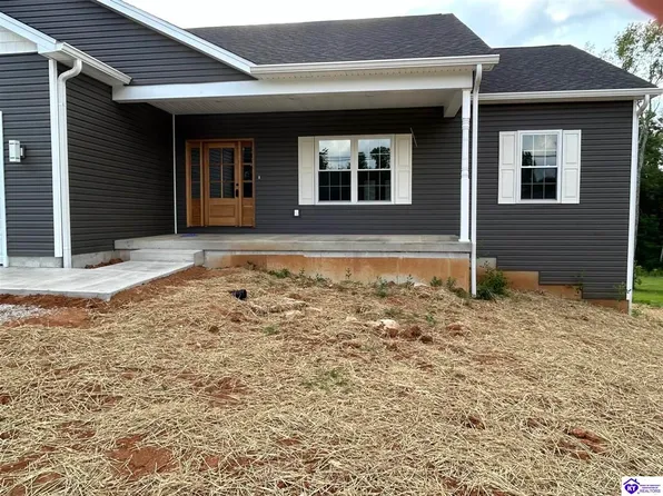 281 Charlie Pile Rd, Guston, KY 40142