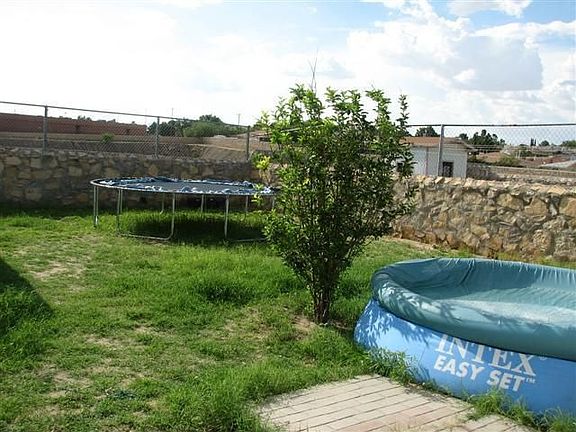 Back yard