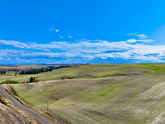 3rd image of Central Ridge Rd