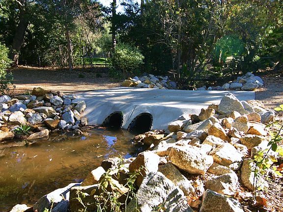 Stream Crossing in Pasture