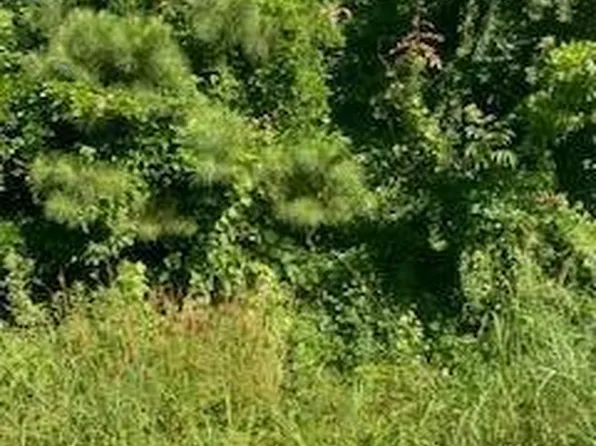 122 Magnolia Drive, Edenton, NC 27932