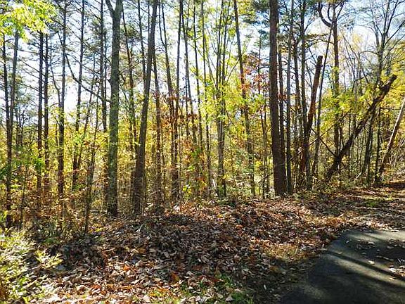 4th image of Lot 184 Ski View Dr.