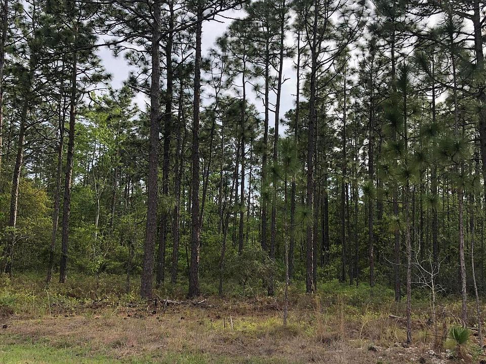 2nd image of Lot-3 Beaufort Road