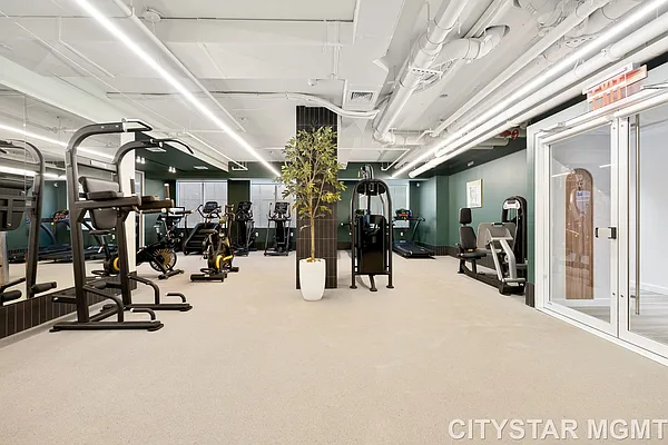 Rented by Noll Street Realty USA LLC | media 27