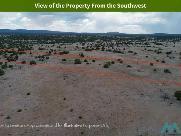 12345 W Lobo Solitario Rd, Ramah, NM 87321