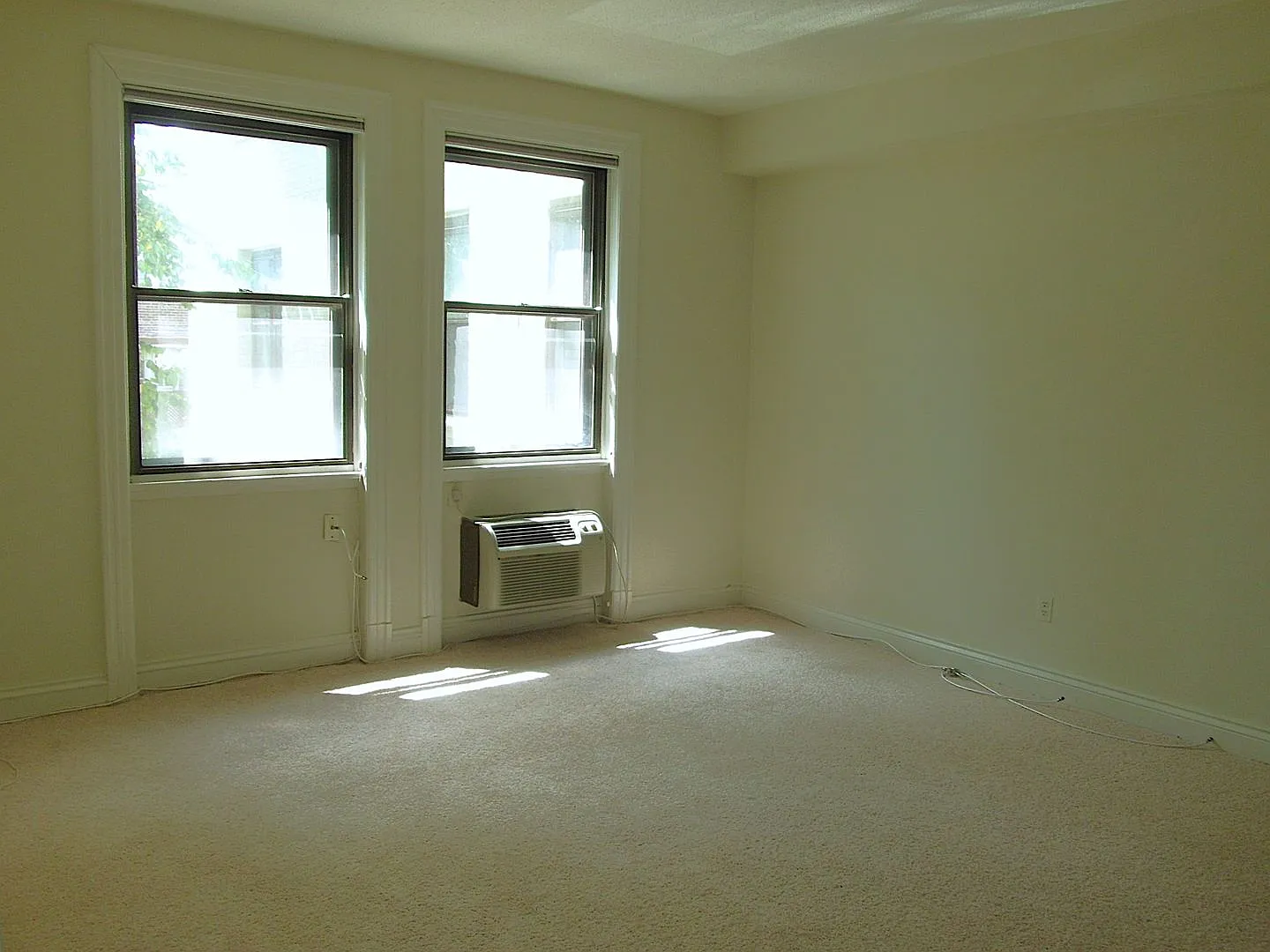 Zoo-licious Spacious Studio Apt across from the Zoo in Cleveland Park! — Photo 2