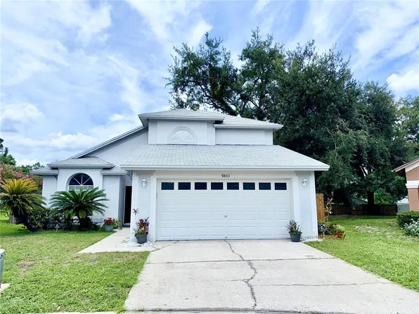 9803 Terrace Trail Ln, Temple Terrace, FL 33637