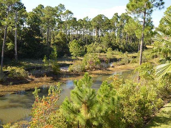 2nd image of LOT 6C Palmetto Lake Dr