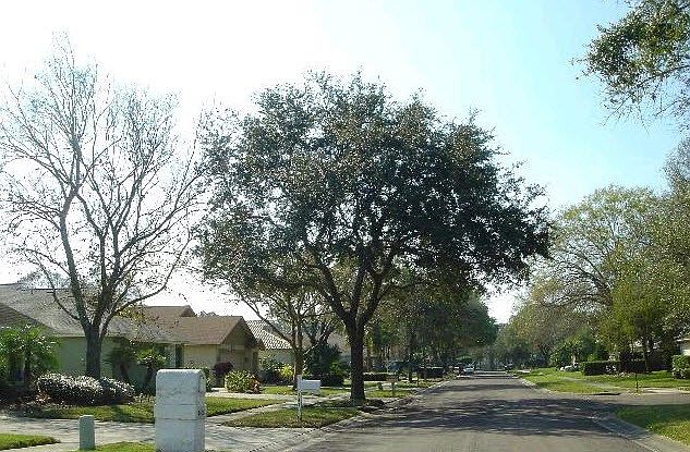 2nd image of 4406 Golf Club Ln