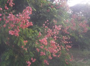 6228 Van Buren St, New Port Richey, FL 34653