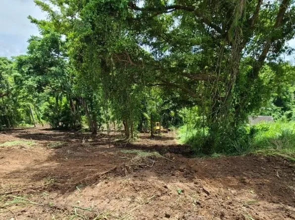 Carr 968 Km 2 Sector, Rio Grande, PR 00745