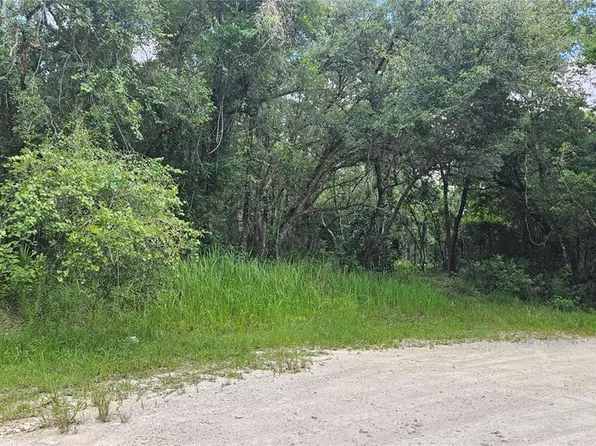 34424 Primrose Ln #1, Webster, FL 33597