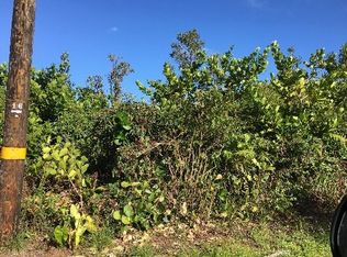 Lemiwai Rd LOT 334, Keaau, HI 96749