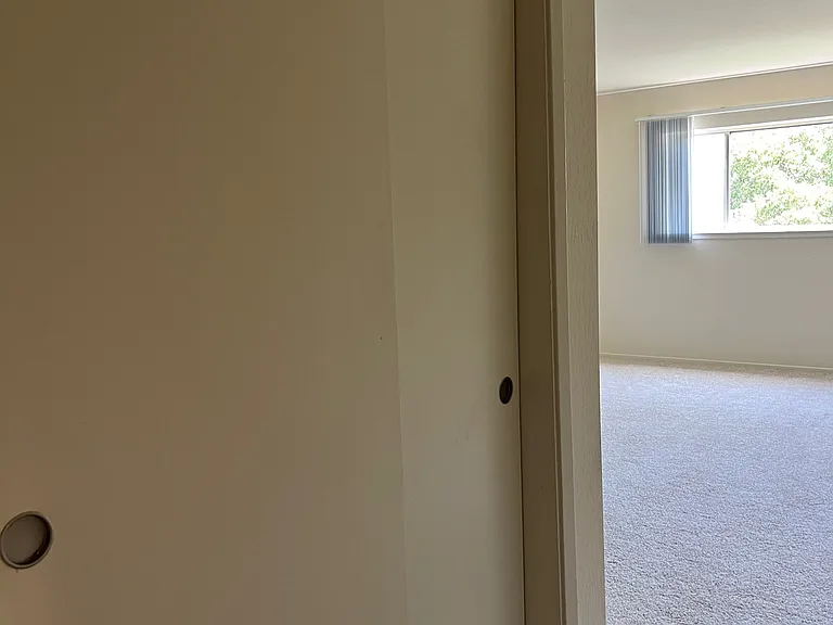 10 Mulberry Court — Photo 24