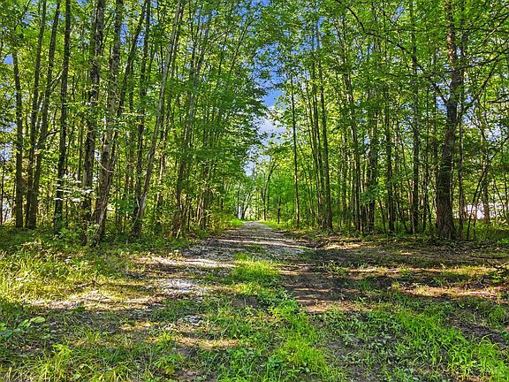 3rd image of 0 Patterson Rd