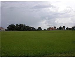 4th image of 10632 Broadland Pass