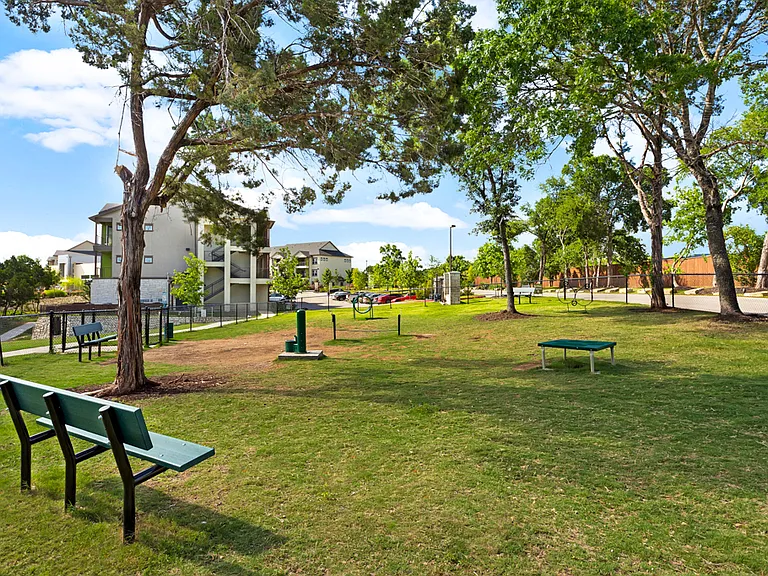 Expansive Dog Park