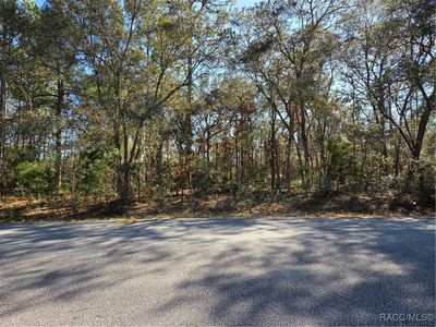3686 W Parkview Dr, Citrus Springs, FL, 34433