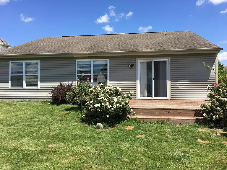 House Back View