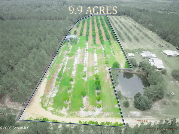 0 Deerfield Rd, Blackshear, GA 31516