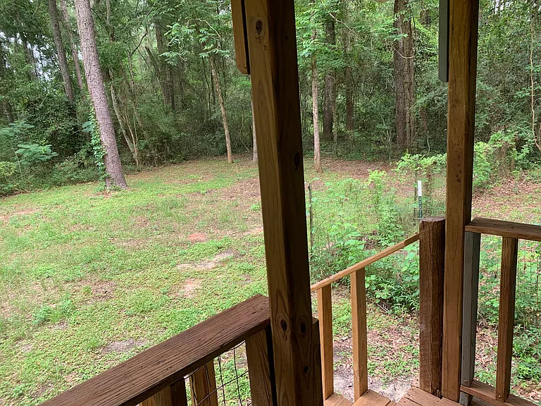 View of yard from back porch.