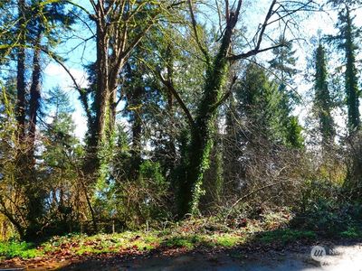 124 xx Cunliffe Road SW, Vashon, WA, 98070