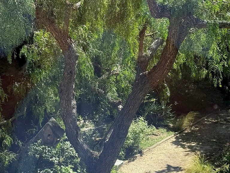 3085 Mar Vista Dr — Photo 26