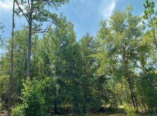 0 SW Lakeland Heights Ave, Dunnellon, FL 34431