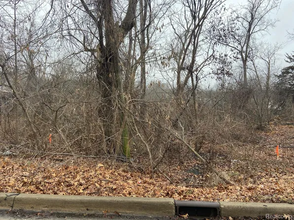 0 Decker Rd, Walled Lake, MI 48390