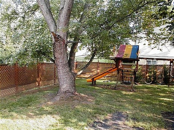 Left Side of Back Yard