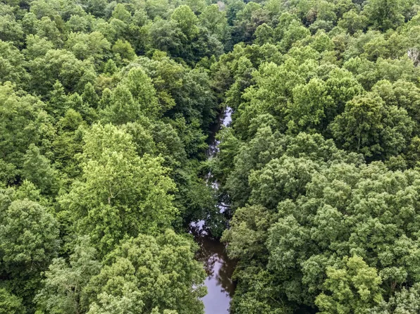 0 County Road 950 Tract 3, Mentone, AL 35984