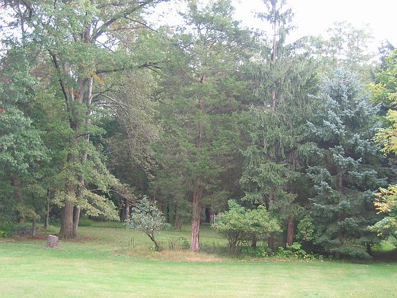 View from deck of almost 2 acres