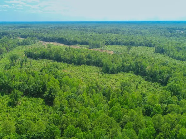 167.10 Leasburg Rd, Roxboro, NC 27574