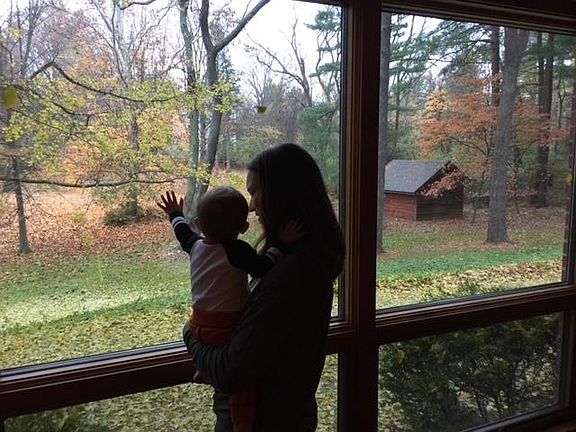 Windows from the sun room overlooking the property