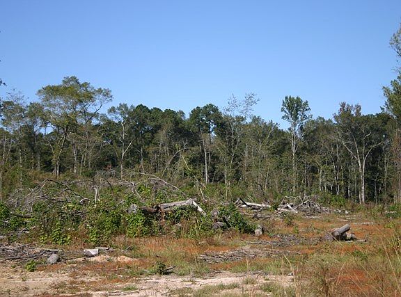 4th image of 7785 Lee Road 240