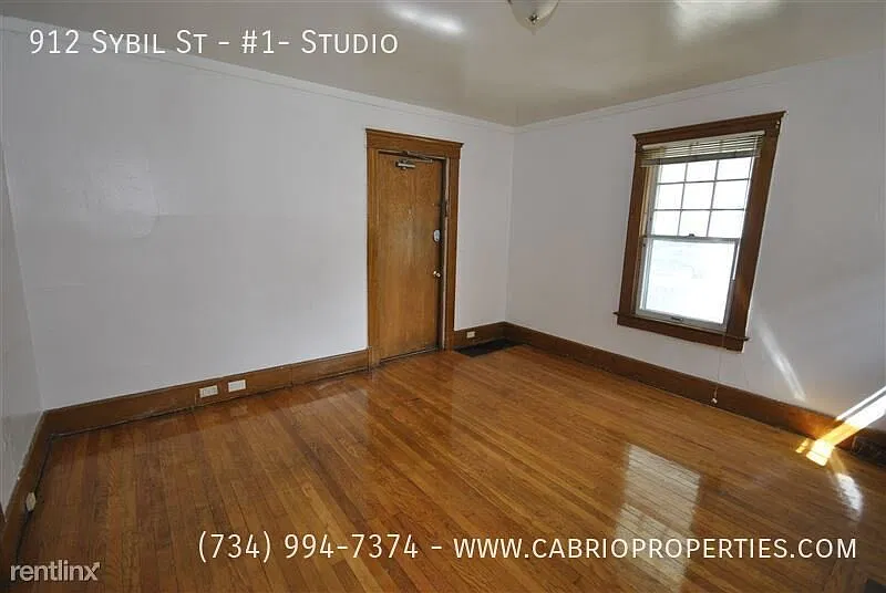 912 Sybil — Photo 3