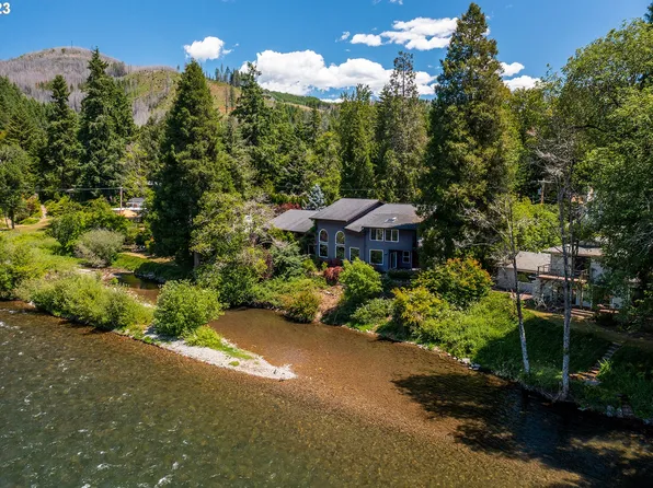 91060 Leashore Dr, Vida, OR 97488