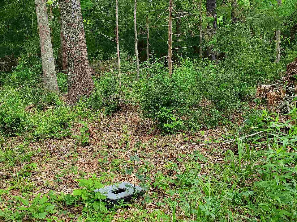 315 Woodland Est, Hemphill, TX 75948 Zillow