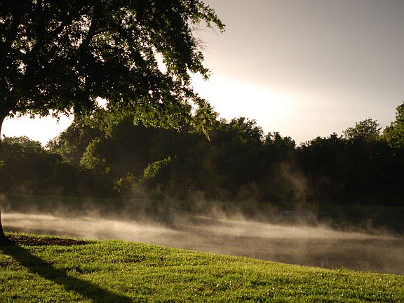 Mist off our pond