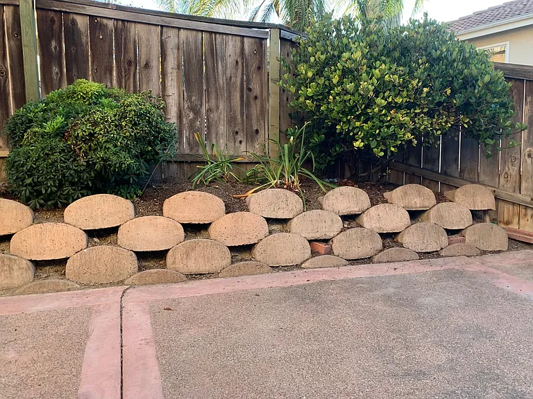 Patio Area
