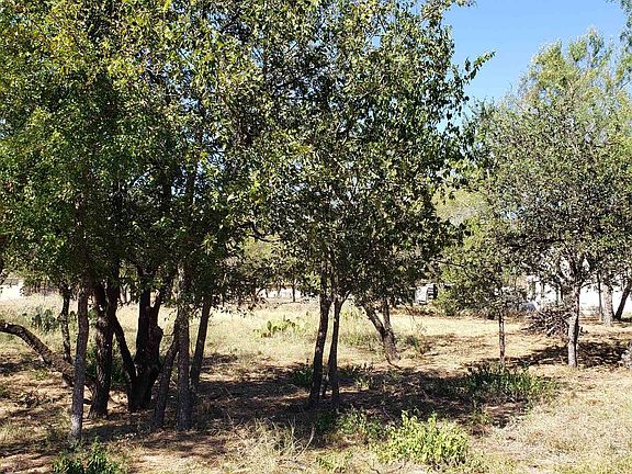 4th image of TBD Pine Ln