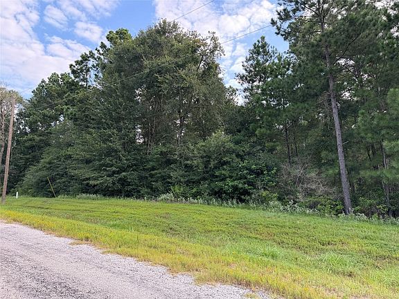 3rd image of 4B-6-205 Single Shot Ct Lot 205