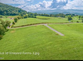 LOT 10 Dry Hill Rd, Butler, TN 37640
