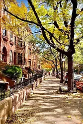 Rented by Candid Listings LLC