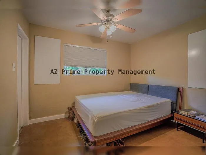 351 E Encanto Dr — Photo 21