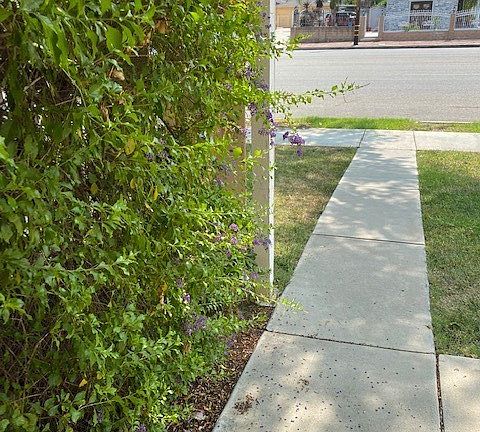 3rd image of 22645 Victory Blvd