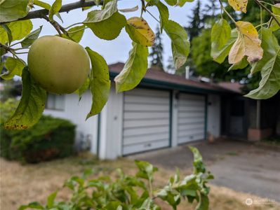 4102 49th Ave NE, Tacoma, WA, 98422
