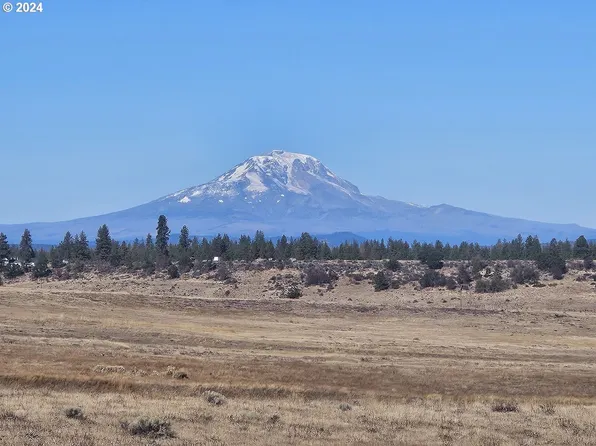 29 Lipo Rd #2, Centerville, WA 98613