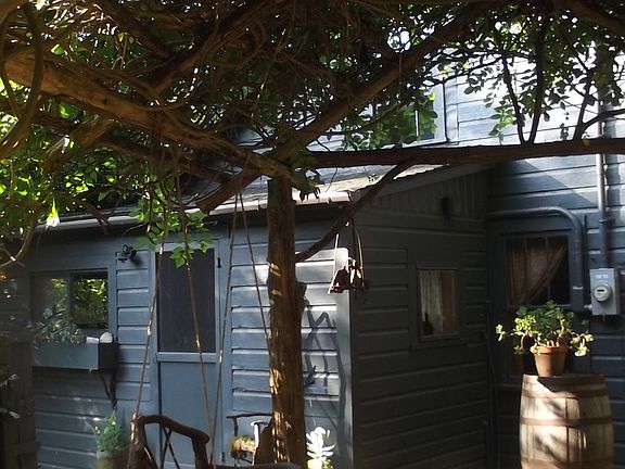Wisteria Roof! Lots of Shade