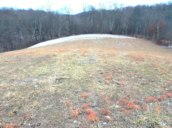 Moore Ridge Rd, Jerusalem, OH 43747